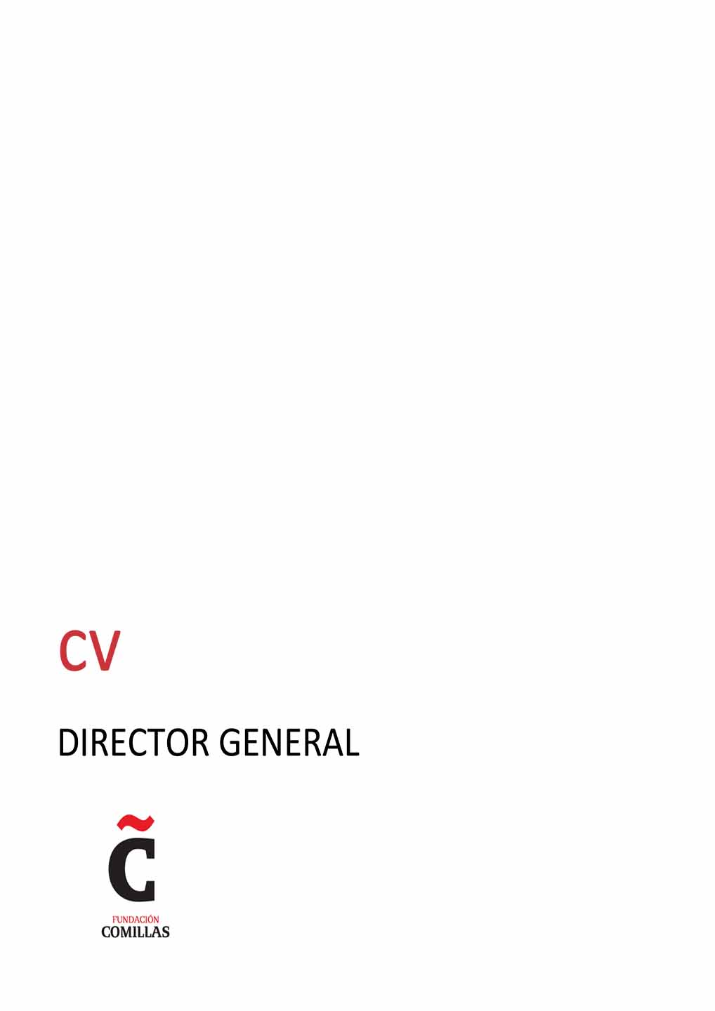 CV director general Fundación Comillas