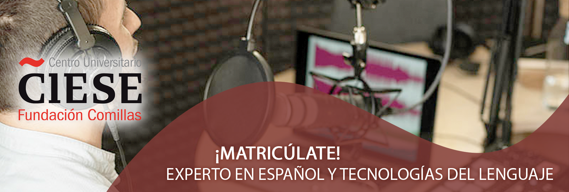 Experto en Español y Tecnologías del Lenguaje online