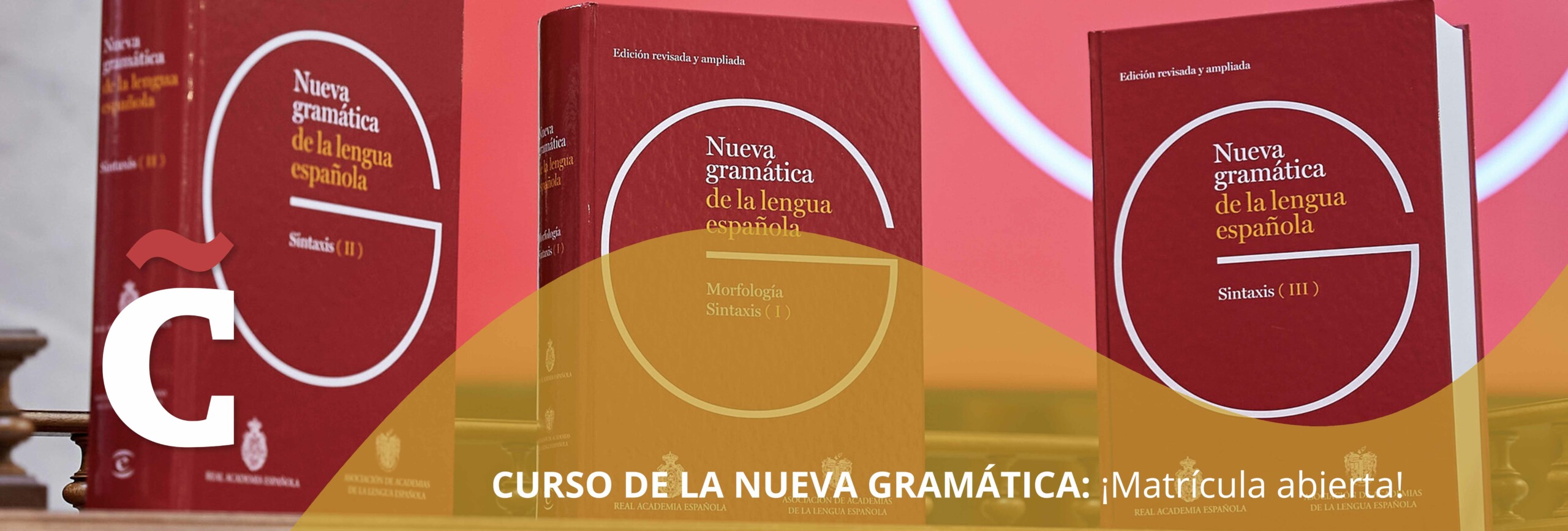 Curso nueva gramática de la lengua española