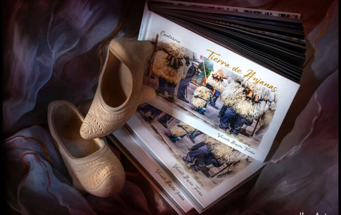 Vicente Ansola Tierra de Anjanas