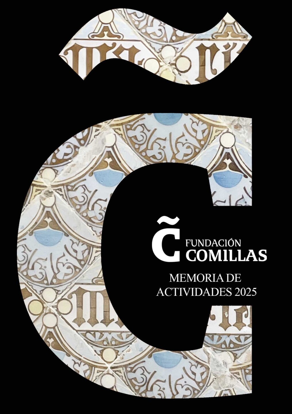 Memoria de actividades 2025